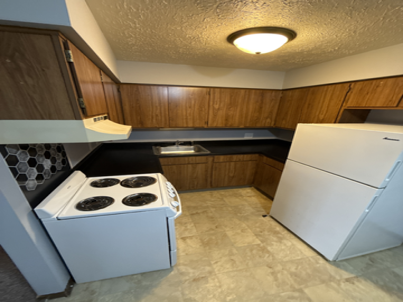 84 West Rebecca Street, Peck, Michigan 48466, 1 Bedroom Bedrooms, ,1 BathroomBathrooms,Apartment,Peck Apartments,84 West Rebecca Street,1972