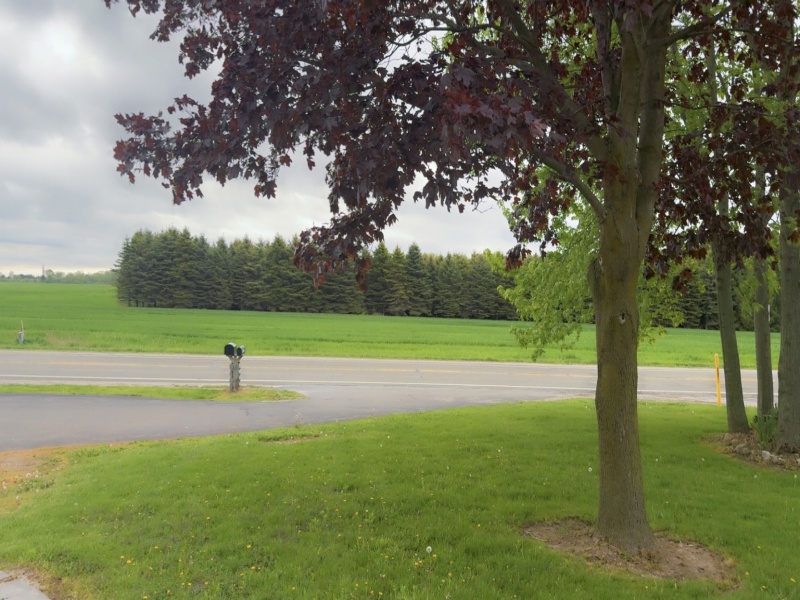 6113 Emmett Rd., Yale, Michigan 48097, 3 Bedrooms Bedrooms, ,1 BathroomBathrooms,House,6113 Emmett Rd.,2410