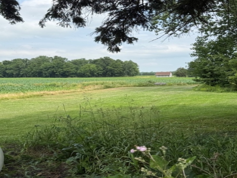 2200 Raines Road, Sandusky, Michigan 48471, 3 Bedrooms Bedrooms, ,1 BathroomBathrooms,Apartment,1,2200 Raines Road,2459