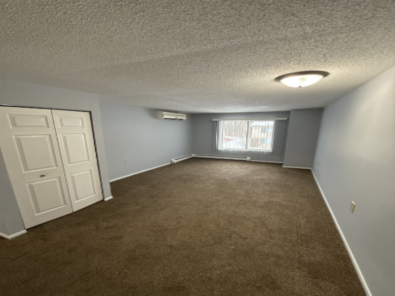 205 2nd Street #7, Yale, Michigan 48097, 1 Bedroom Bedrooms, ,1 BathroomBathrooms,Apartment,205-7,205 2nd Street #7,2462