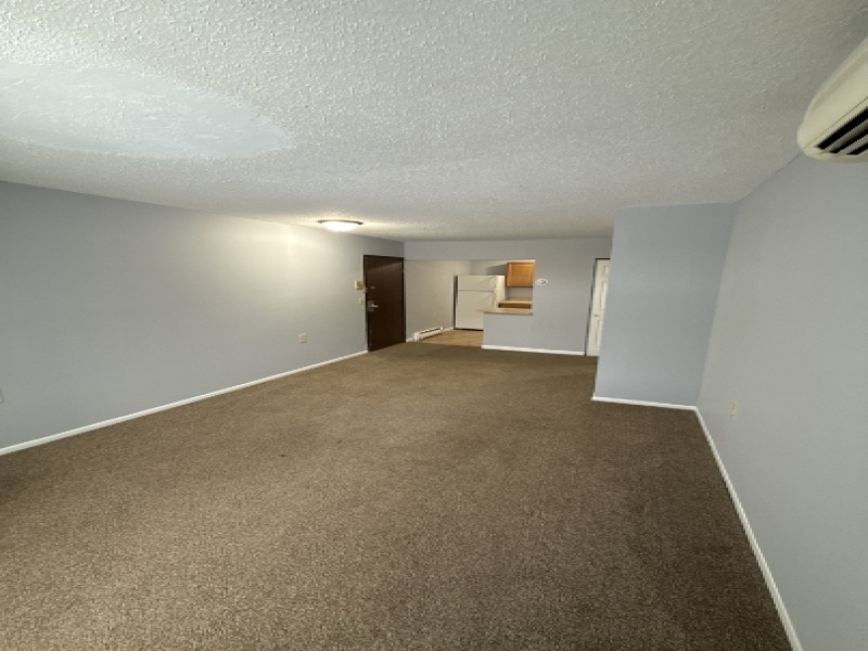 205 2nd Street #7, Yale, Michigan 48097, 1 Bedroom Bedrooms, ,1 BathroomBathrooms,Apartment,205-7,205 2nd Street #7,2462