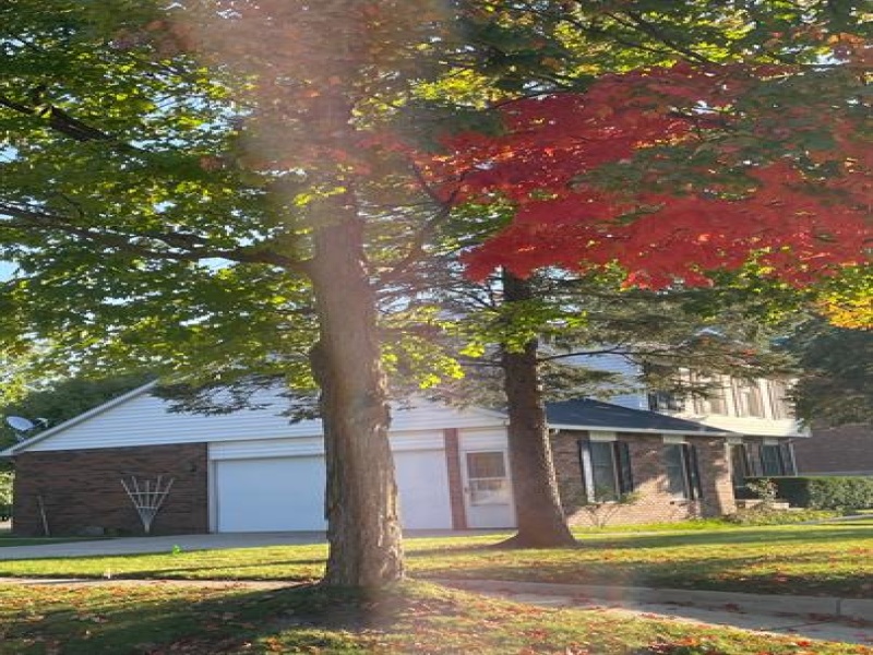 7209 Main Street, Port Sanilac, Michigan 48469, 4 Bedrooms Bedrooms, 0 ,2 BathroomsBathrooms,House,1,7209 Main Street,0,2735