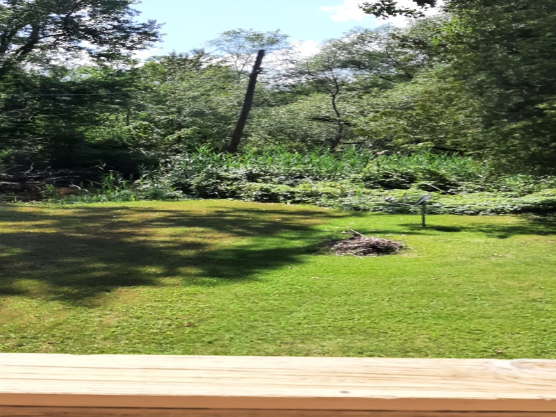 View from deck
